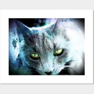 Green Eyes Grey Fur Beautiful Posters and Art